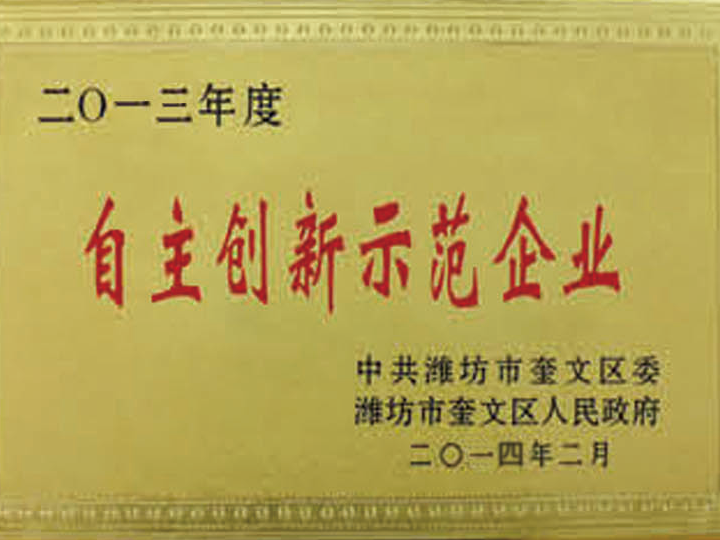 自主創(chuàng)新示范企業(yè)